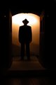 Inspector 3 028