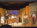 DANDINI
