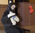 Dick Whittington Dec11 (58)