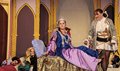 Sleeping Beauty Dec15 (13)