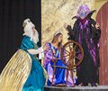 Sleeping Beauty Dec15 (54)