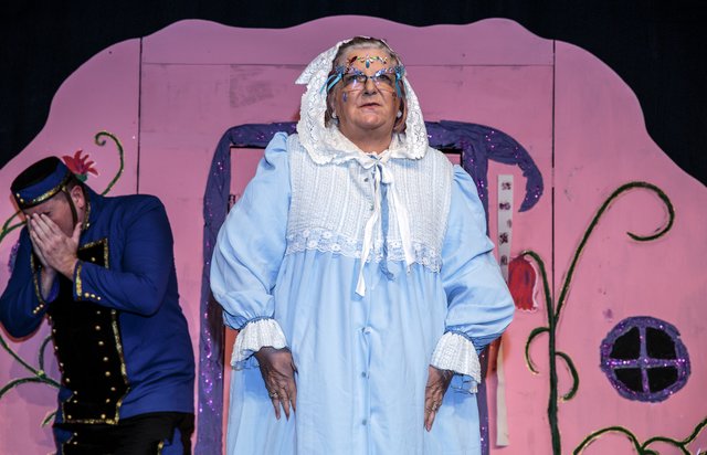 Cinderella 2 Uglies Revenge (90)