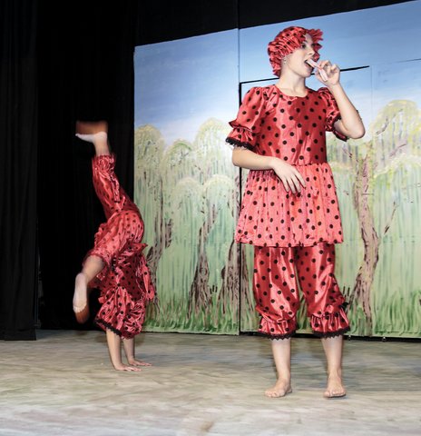 Wind in the Willows (23)