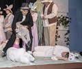 Wind in the Willows (64)