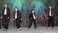 Wind in the Willows (75)